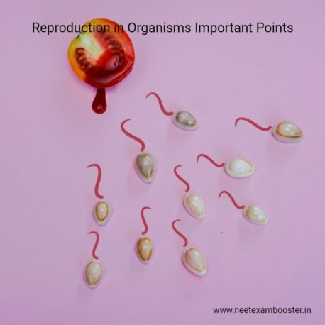 Reproduction in organisms important points