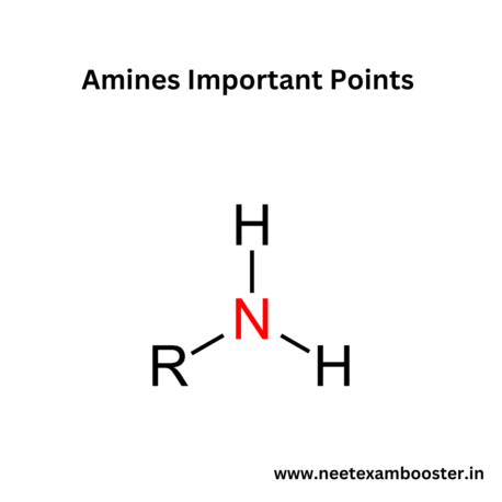 Amines important points For NEET And JEE Chemistry Class 12 Chapter 13￼