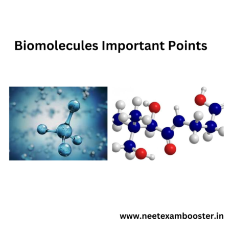 Biomolecules important points For NEET And JEE Chemistry Class 12 Chapter 14