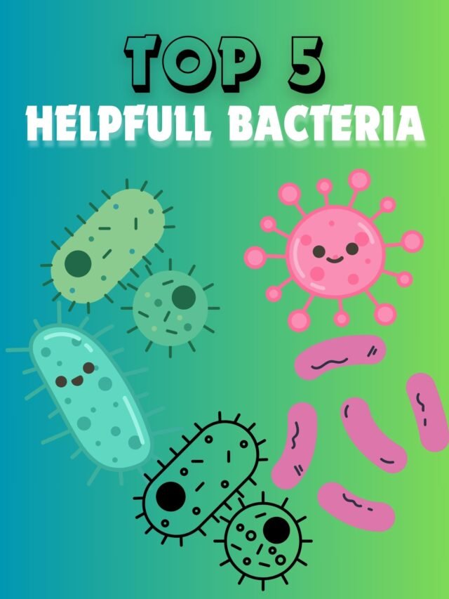 Top 5 helpful bacteria