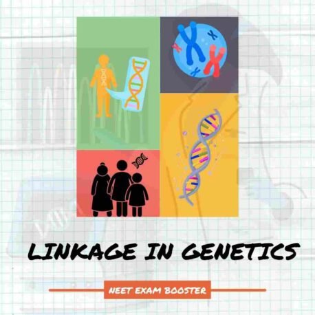 Define Linkage – Biology