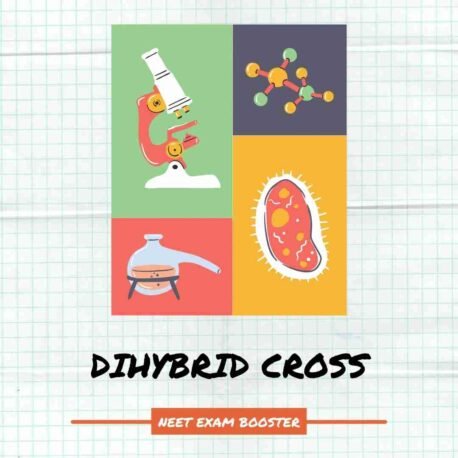 What is dihybrid cross definition? – Mendelian Genetics and Punnett Squares